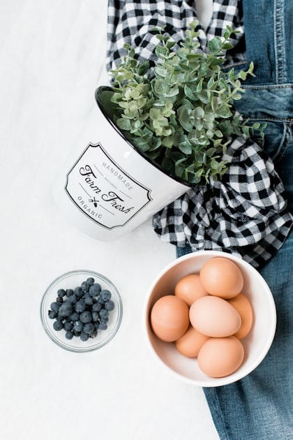 Foraging Techniques for Beginners